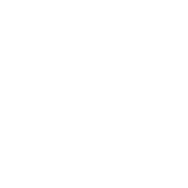 Sophie Bolinski - Industrial Designer